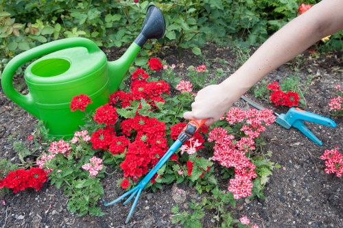 Professionally mowed lawn in East Ham