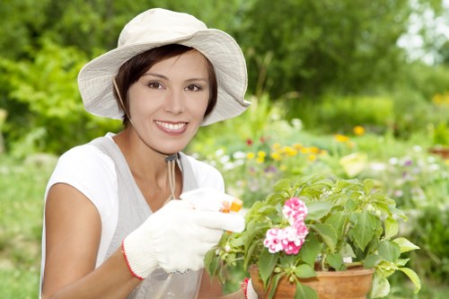 Professional landscape gardening services in East Ham