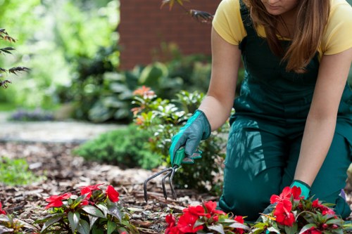 Eco-friendly pest management in East Ham garden