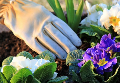 Best practices for maintaining a healthy lawn