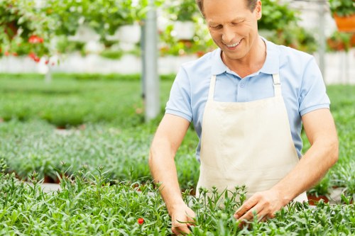 Eco-friendly hedge trimming practices in an East Ham garden