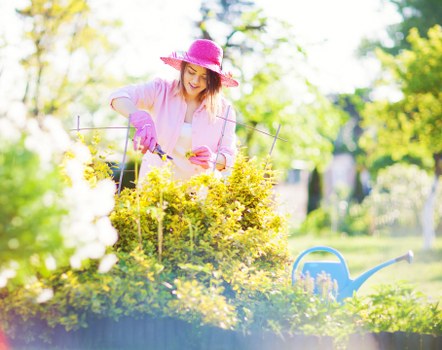 Eco-friendly tree care practices