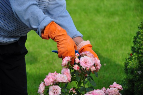 Choosing the right lawn mowing service in East Ham